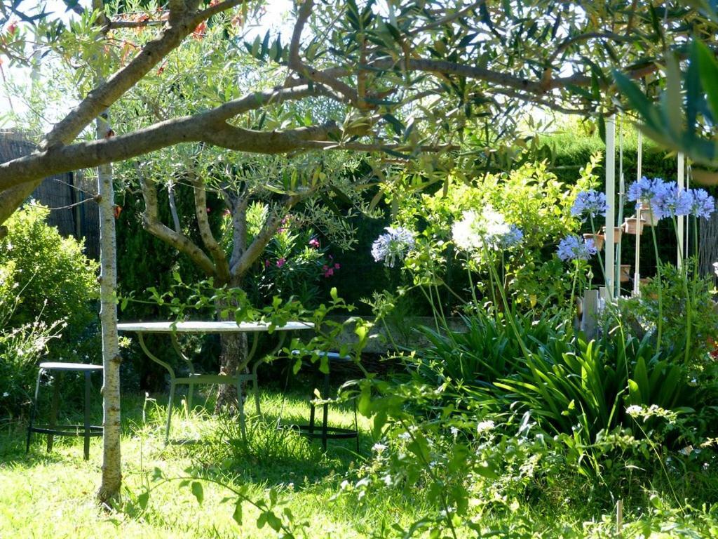 Casa-Tena-Sorède Zimmer foto